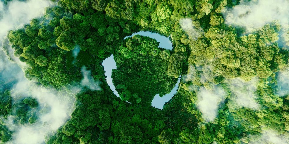 Research shines a light on 'green gap' in hospitality