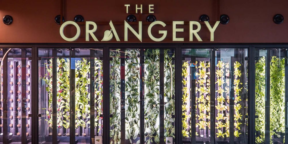 The Orangery brings hydroponic dining to the capital