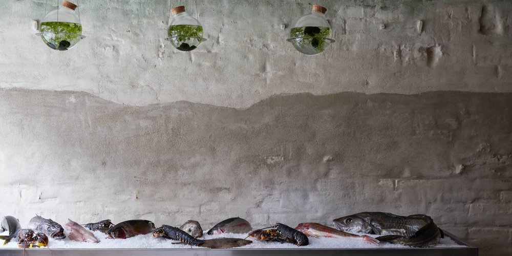 The Sea, The Sea to open bistro and fish shop